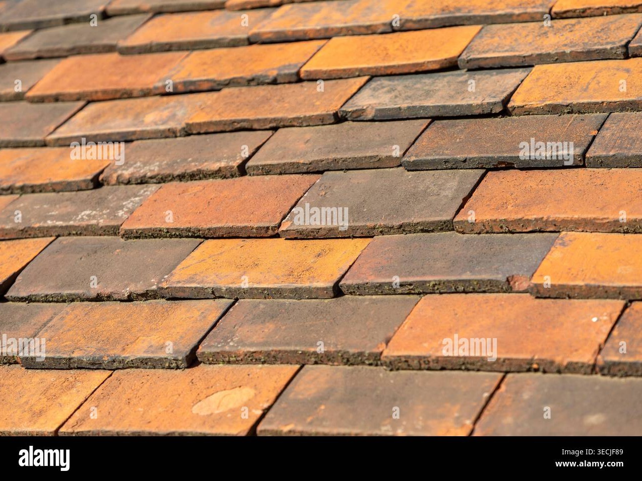 Roof Tile Detail