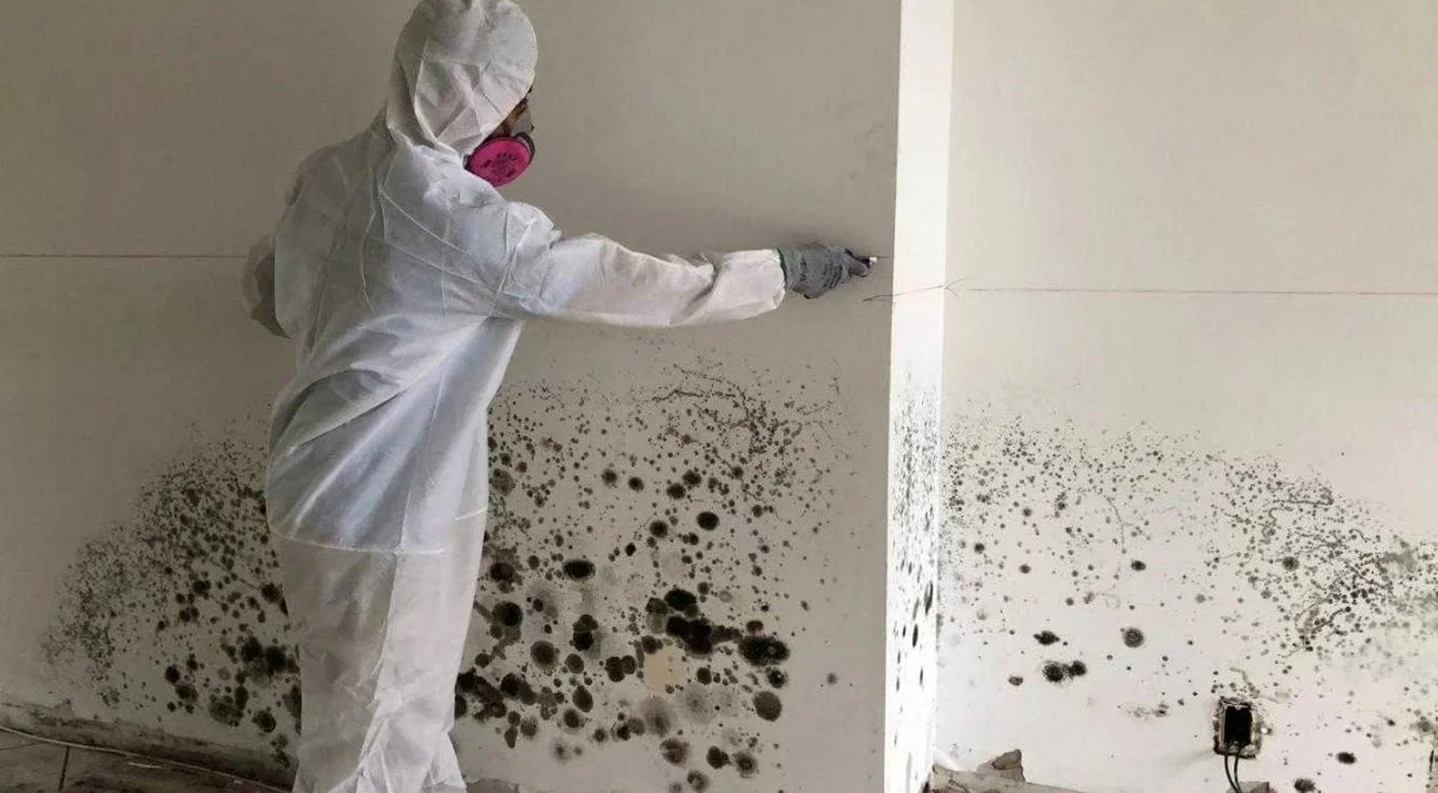 Damp & Mould Inspections and Remediation