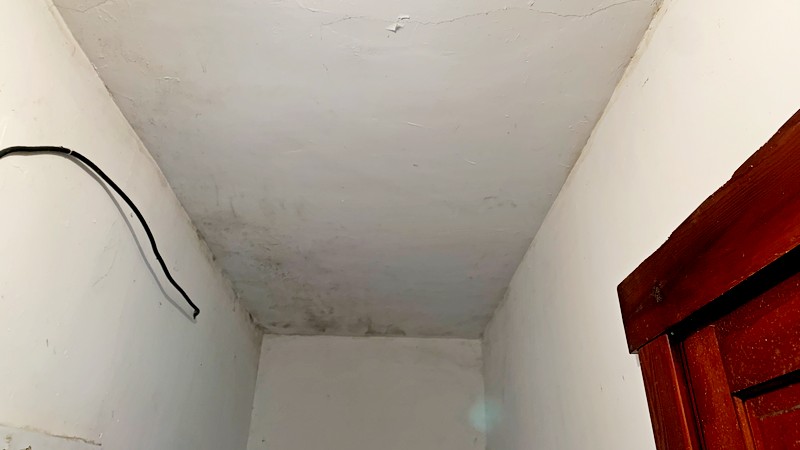 Damp & Mould Inspections and Remediation - Image 1