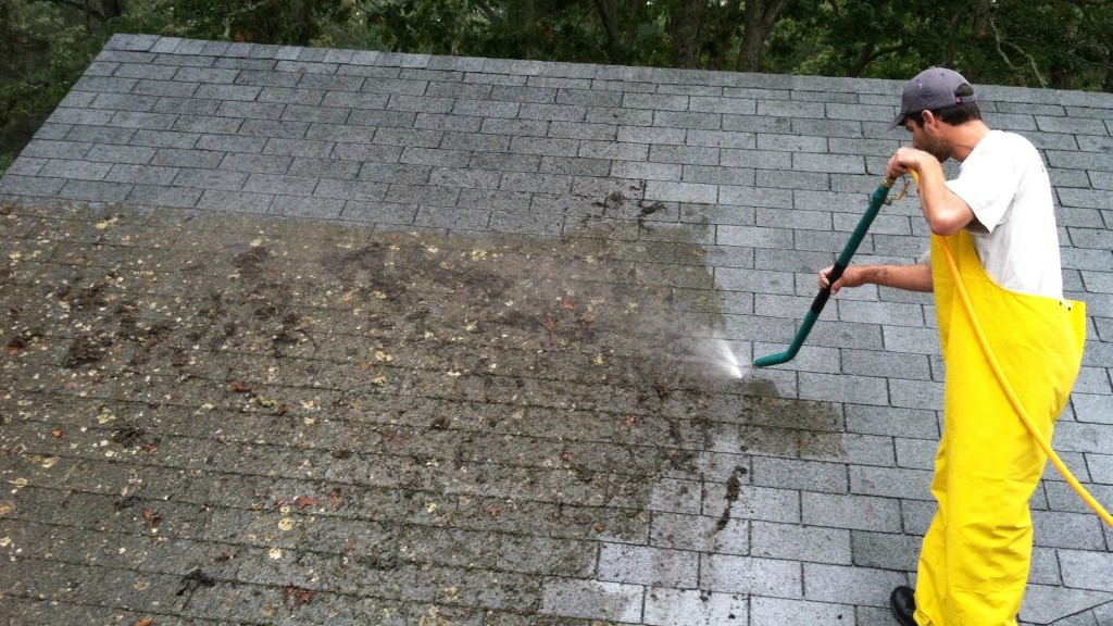 Roof Cleaning - Image 2