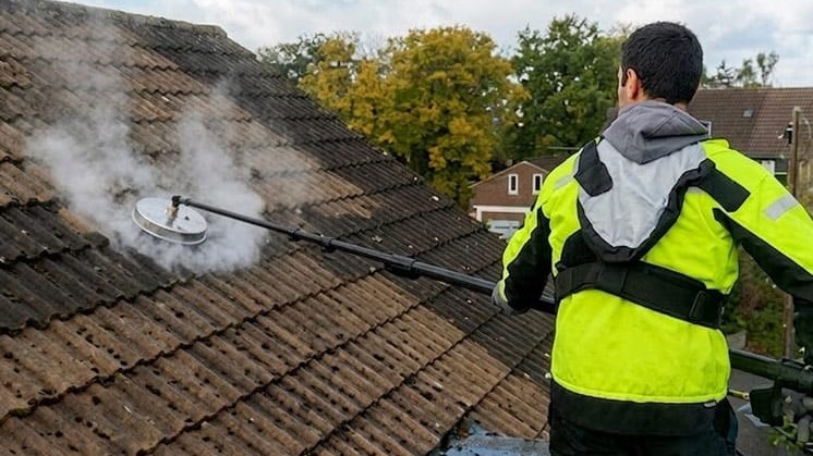 Roof Cleaning - Image 3