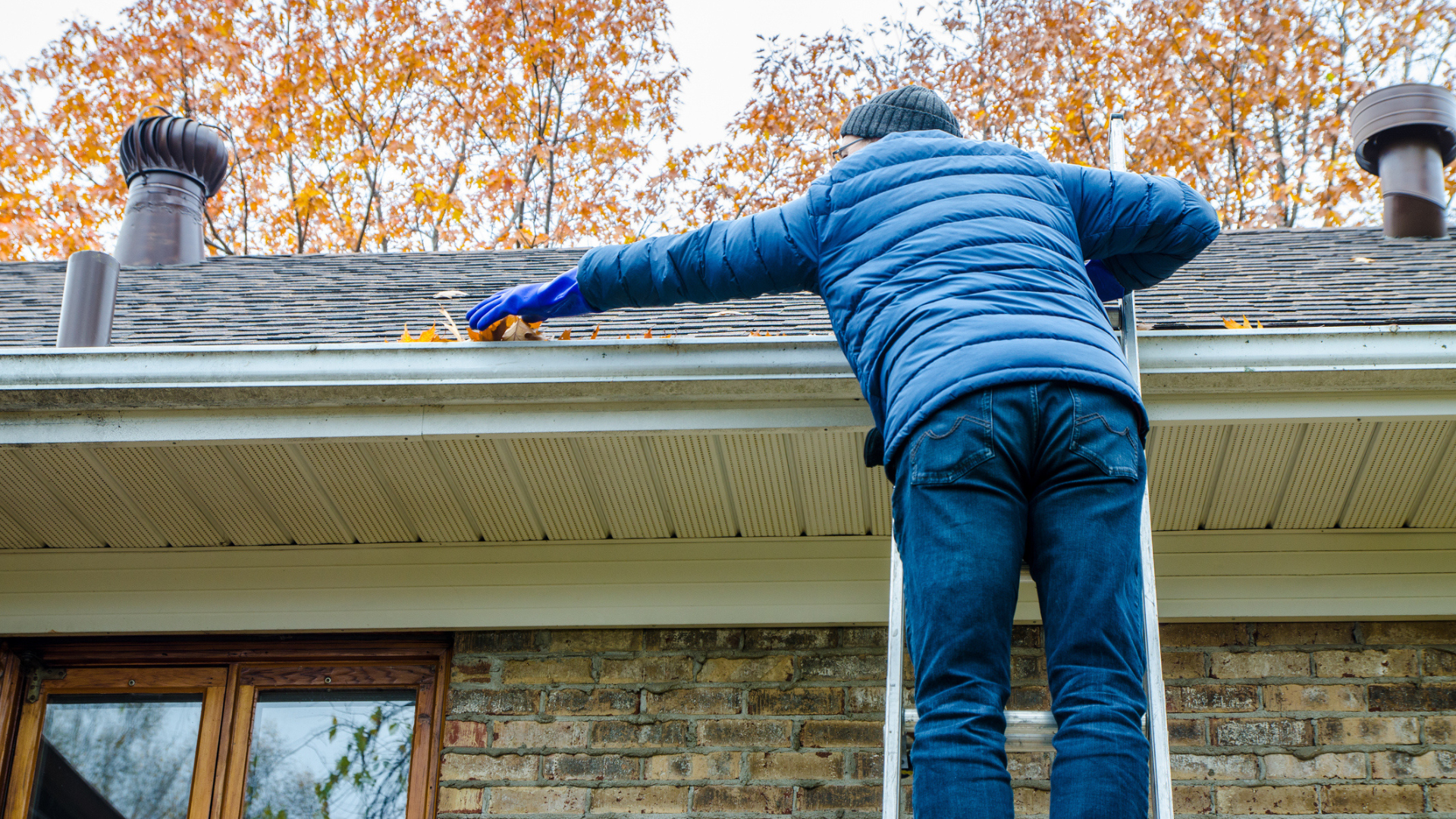 Roof Maintenance - Image 1