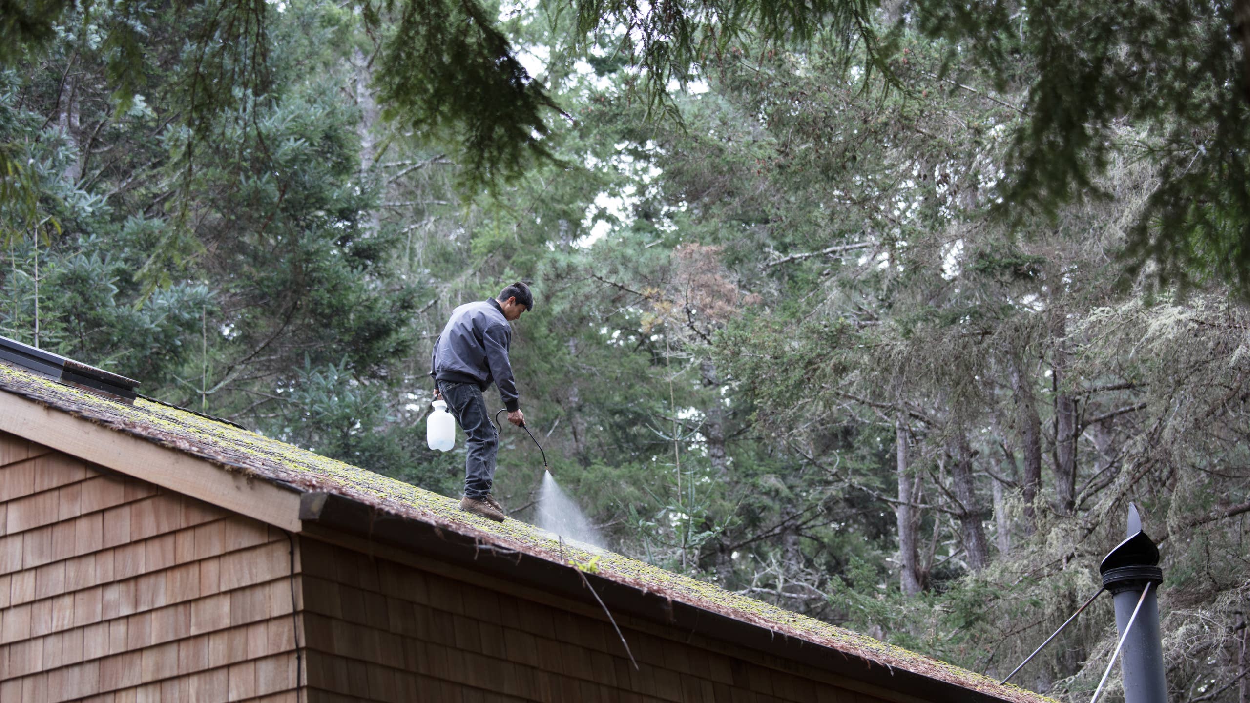 Roof Maintenance - Image 2