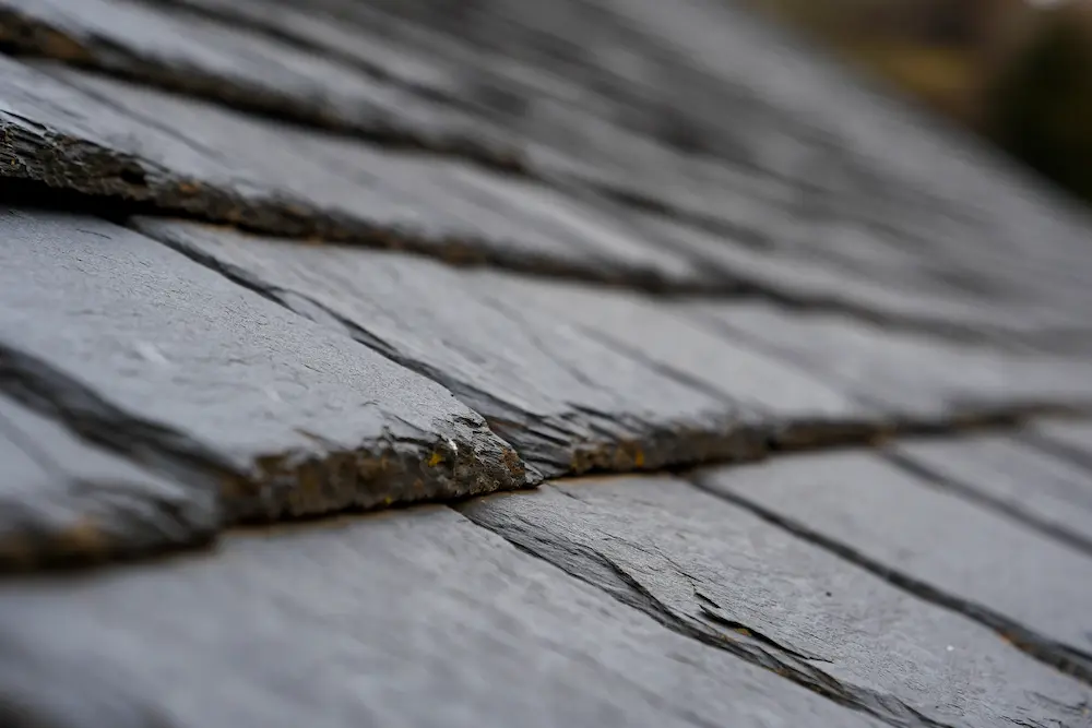 Slate & Tile Roofing - Image 1